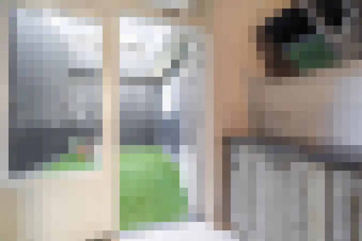 Aldbuorren 5 Ternaard thumbnail 12
