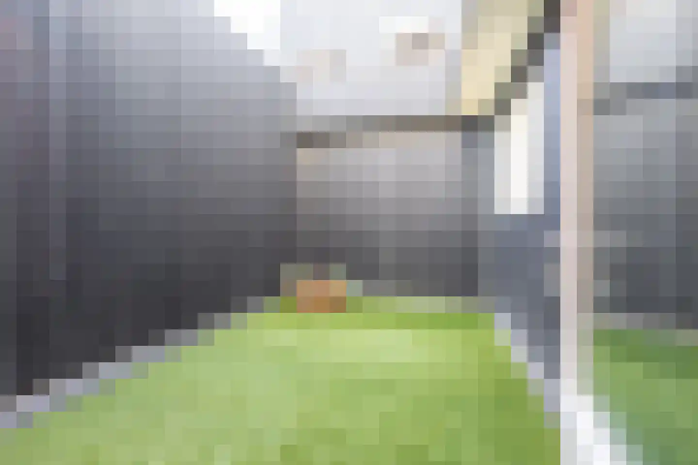 Aldbuorren 5 Ternaard thumbnail 13