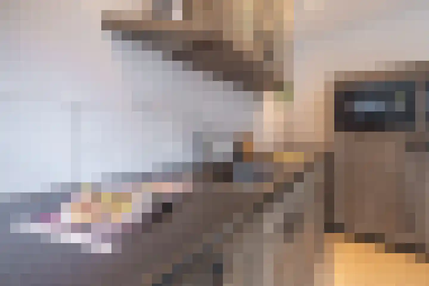 Aldbuorren 5 Ternaard thumbnail 17