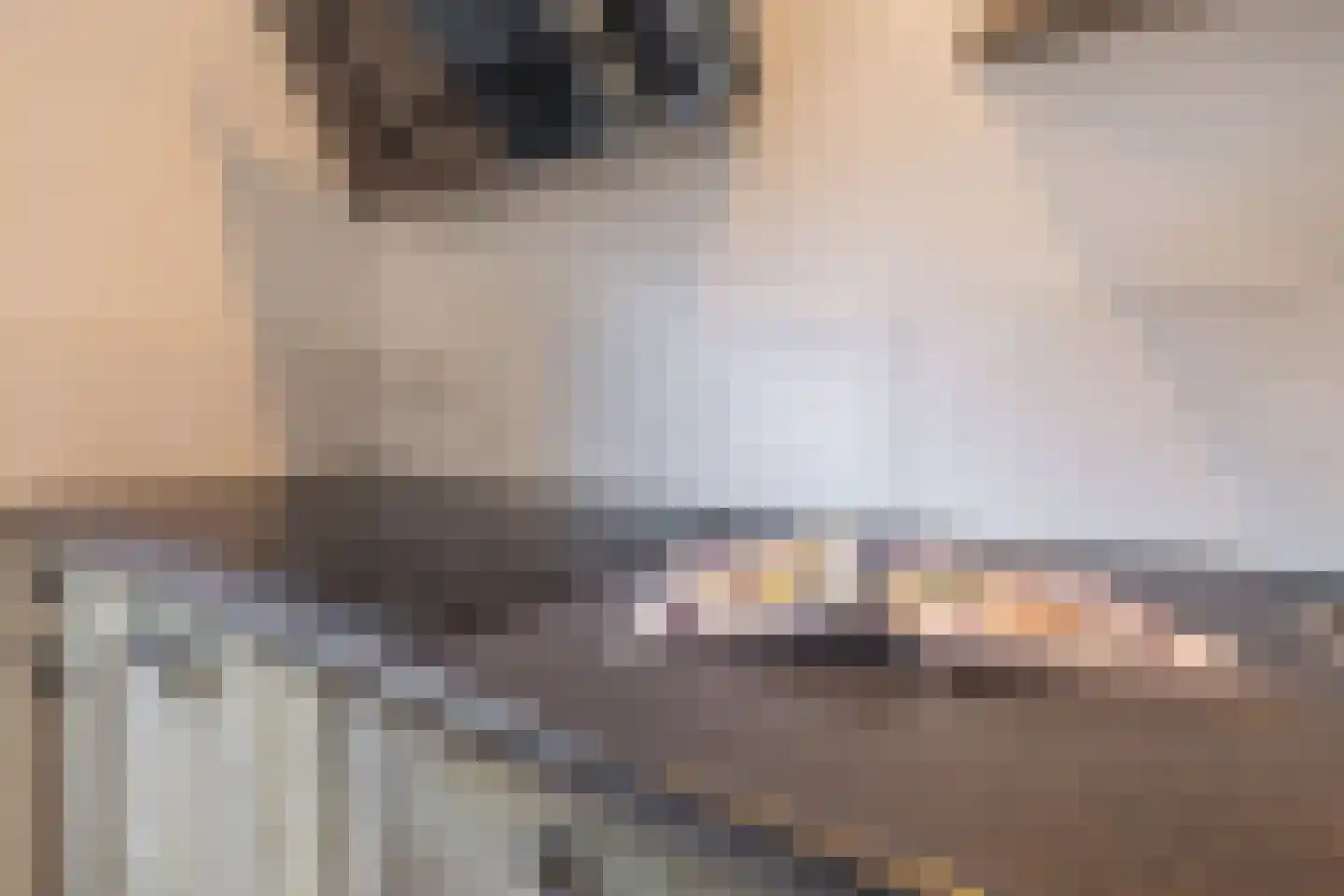 Aldbuorren 5 Ternaard thumbnail 18