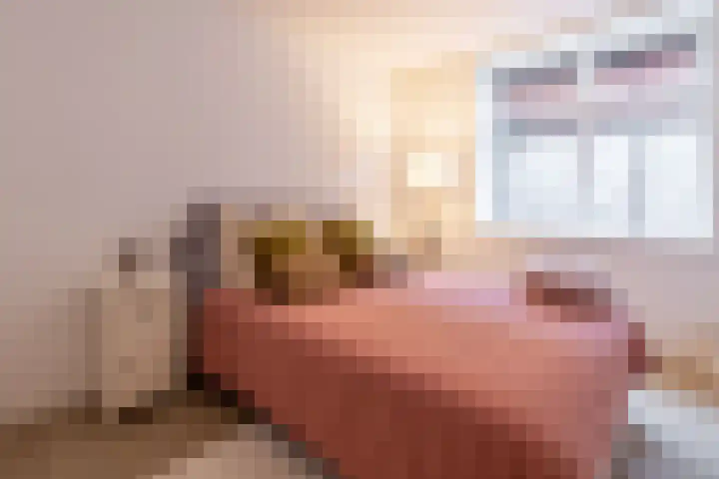 Aldbuorren 5 Ternaard thumbnail 27