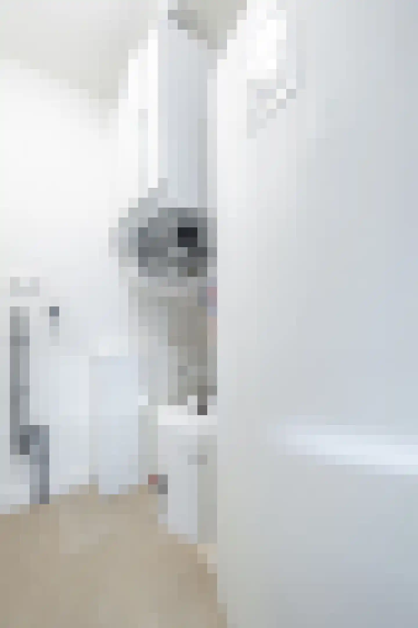 Aldbuorren 5 Ternaard thumbnail 38