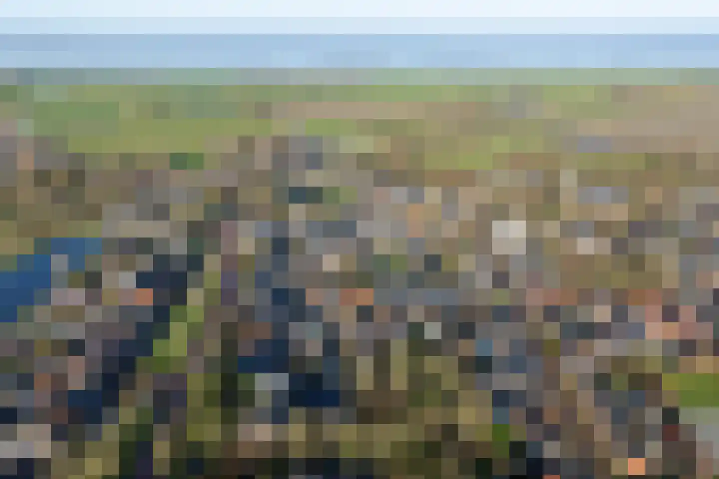 Aldbuorren 5 Ternaard thumbnail 41