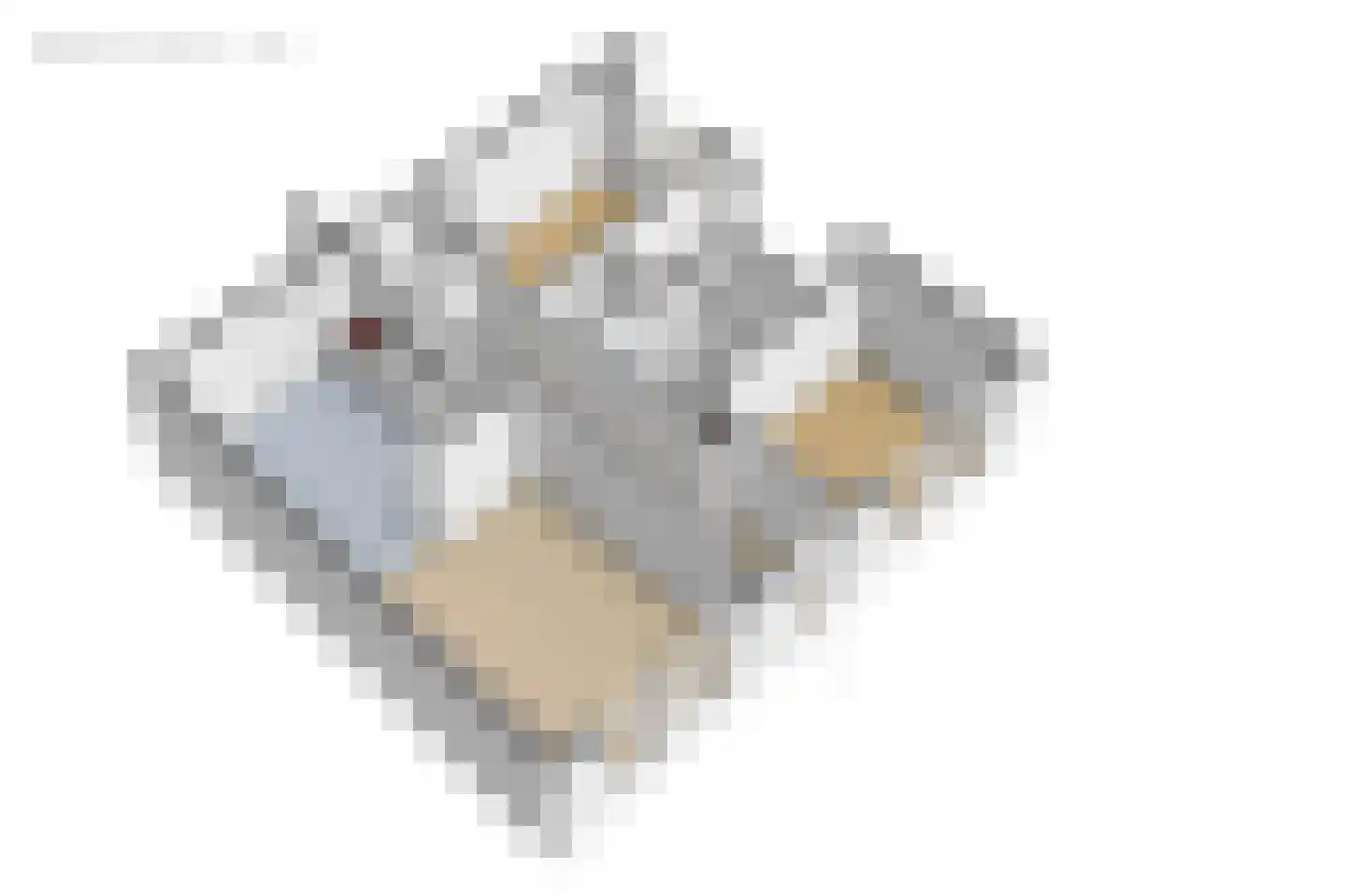 Aldbuorren 5 Ternaard thumbnail 52