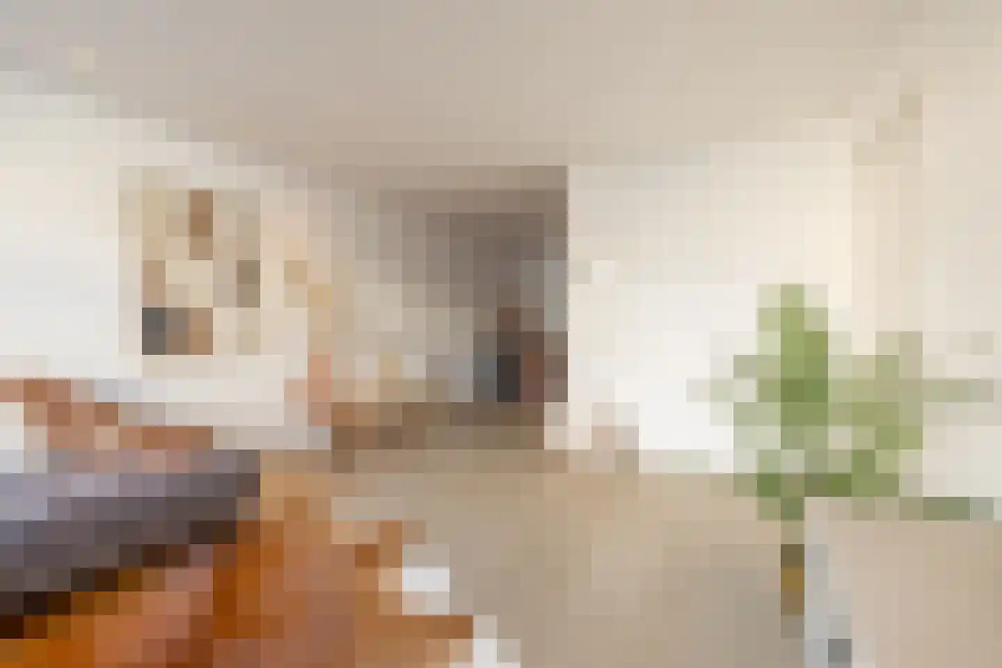 Aldbuorren 5 Ternaard thumbnail 6