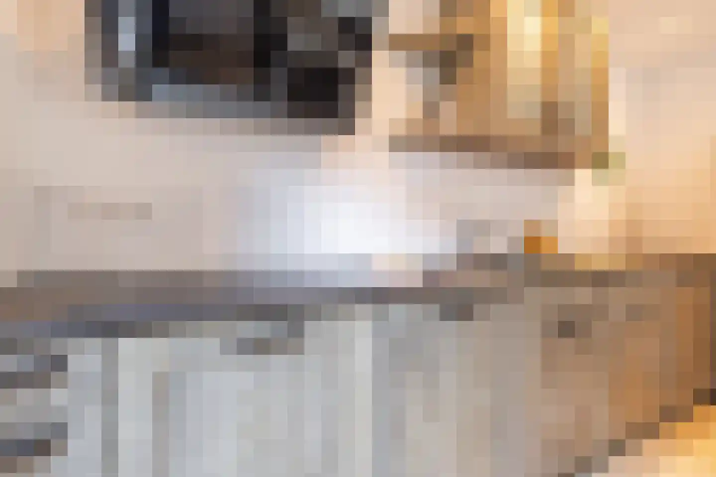 Aldbuorren 5 Ternaard thumbnail 8