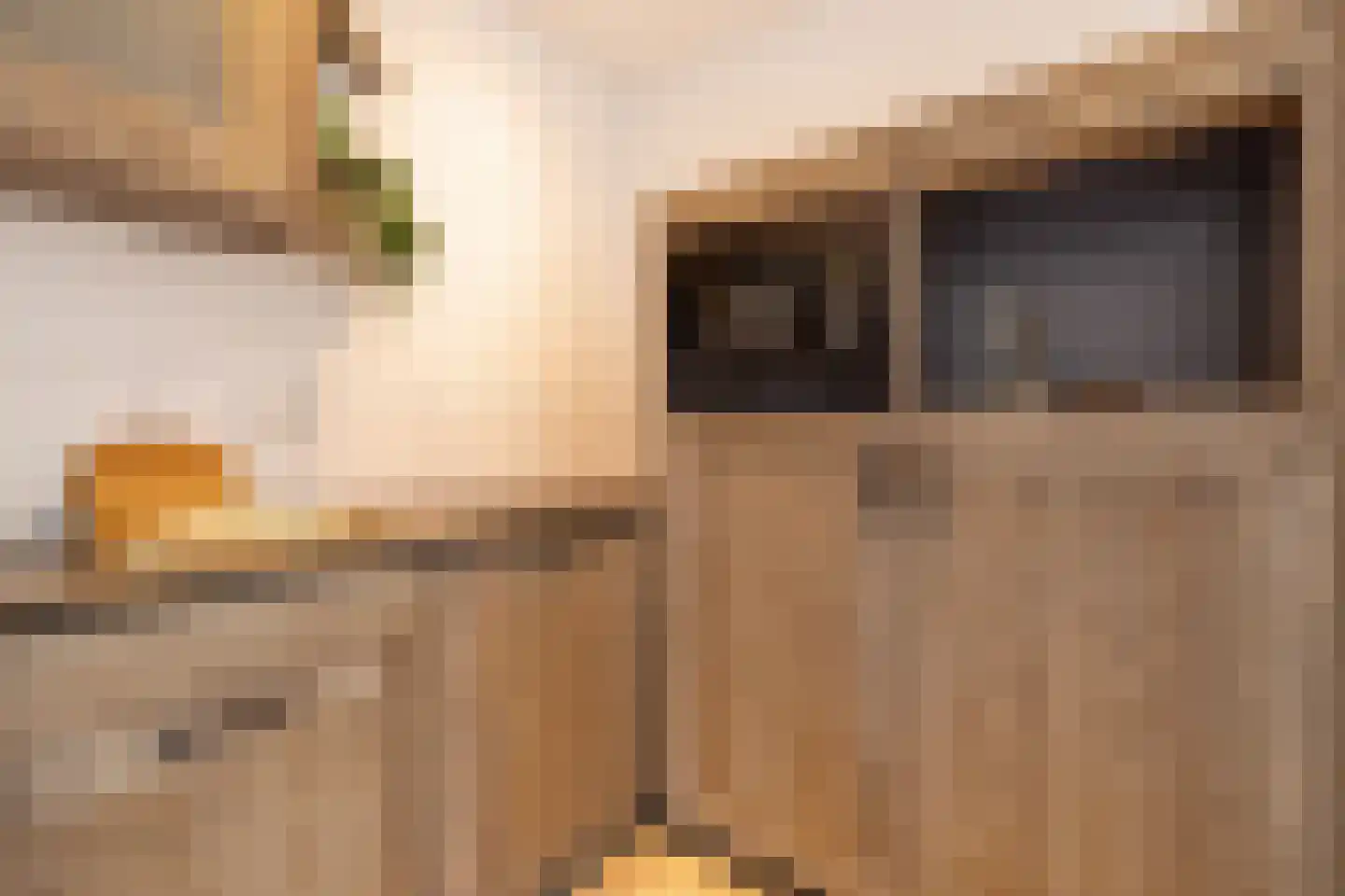 Aldbuorren 5 Ternaard thumbnail 9