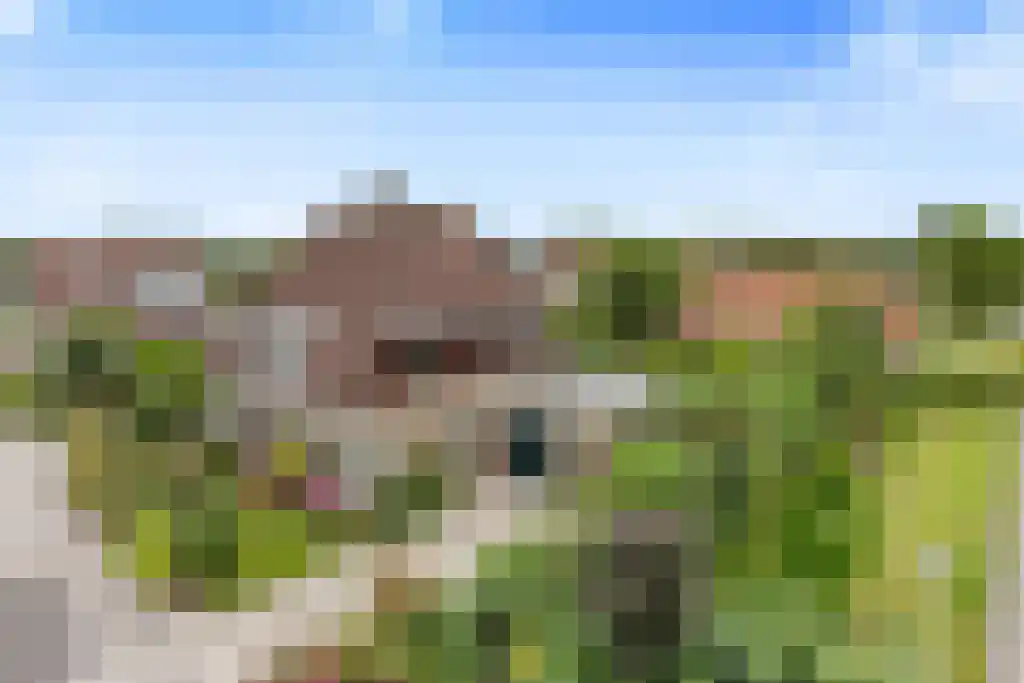Alddyk 6 Sneek