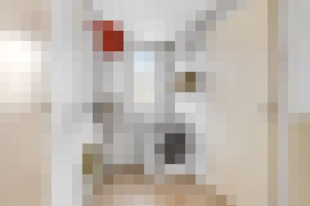 Alddyk 6 Sneek thumbnail 15
