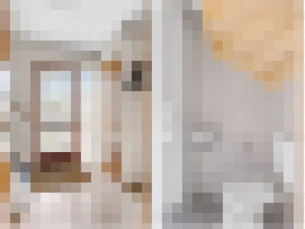 Alddyk 6 Sneek thumbnail 17
