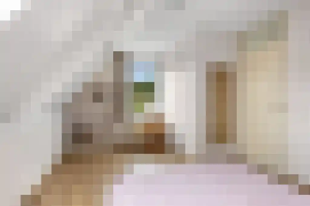 Alddyk 6 Sneek thumbnail 19