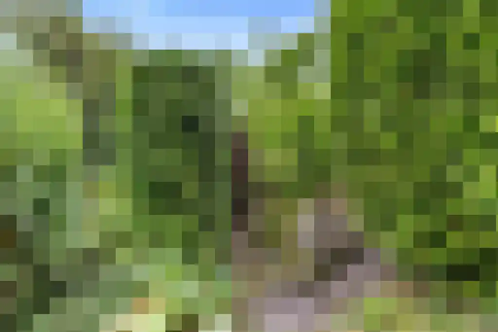 Alddyk 6 Sneek thumbnail 33