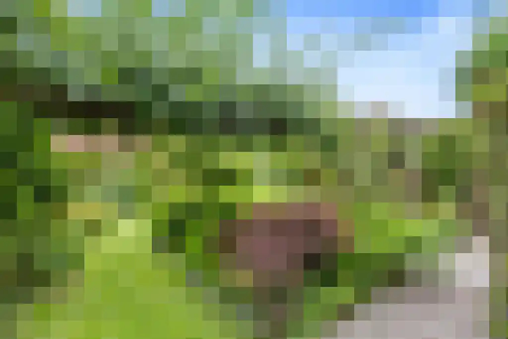 Alddyk 6 Sneek thumbnail 34
