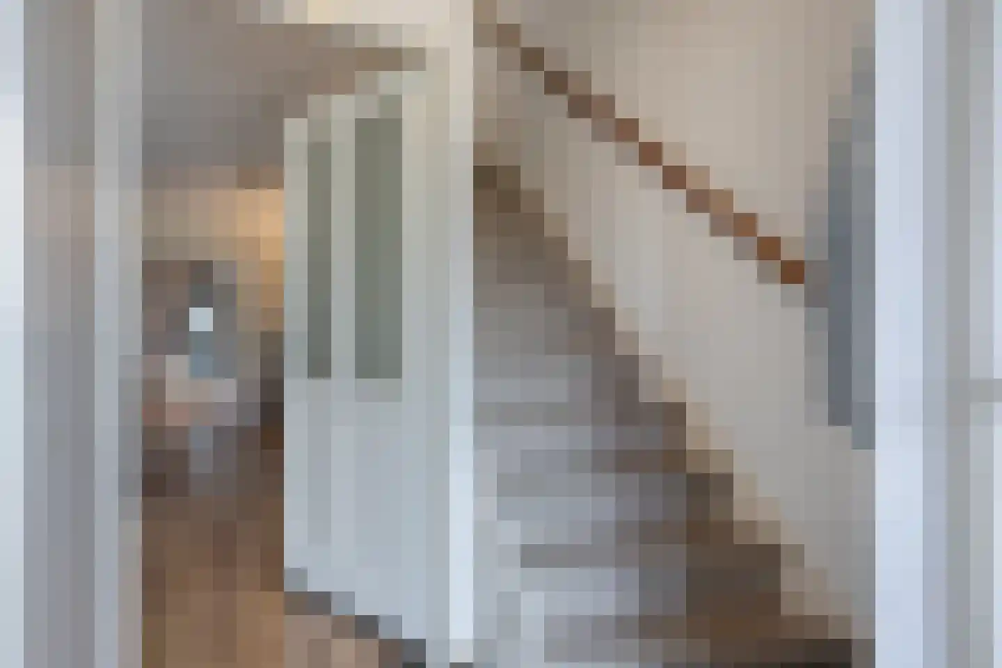 Alde-Biezenstraat 2 Gemert thumbnail 12