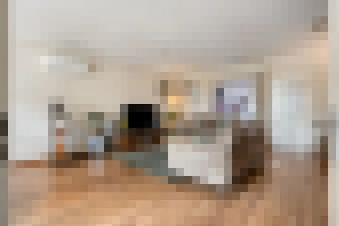 Alde-Biezenstraat 2 Gemert thumbnail 13