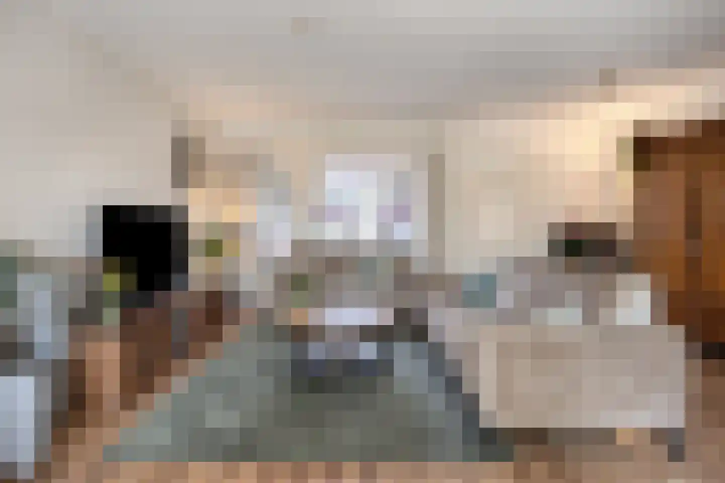 Alde-Biezenstraat 2 Gemert thumbnail 14