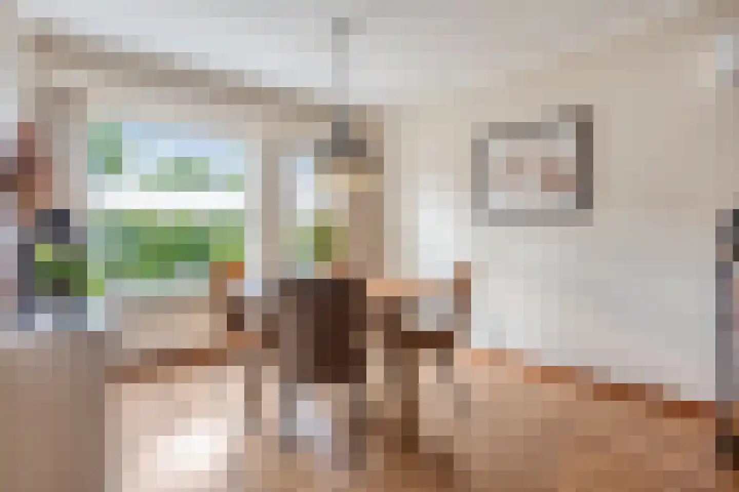 Alde-Biezenstraat 2 Gemert thumbnail 19