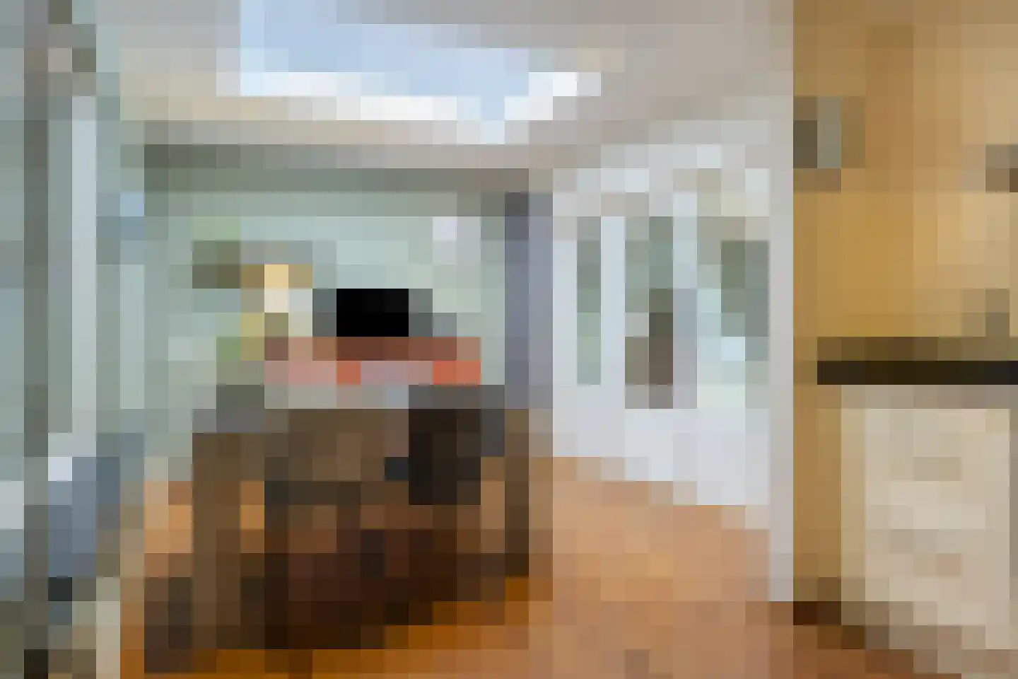Alde-Biezenstraat 2 Gemert thumbnail 23