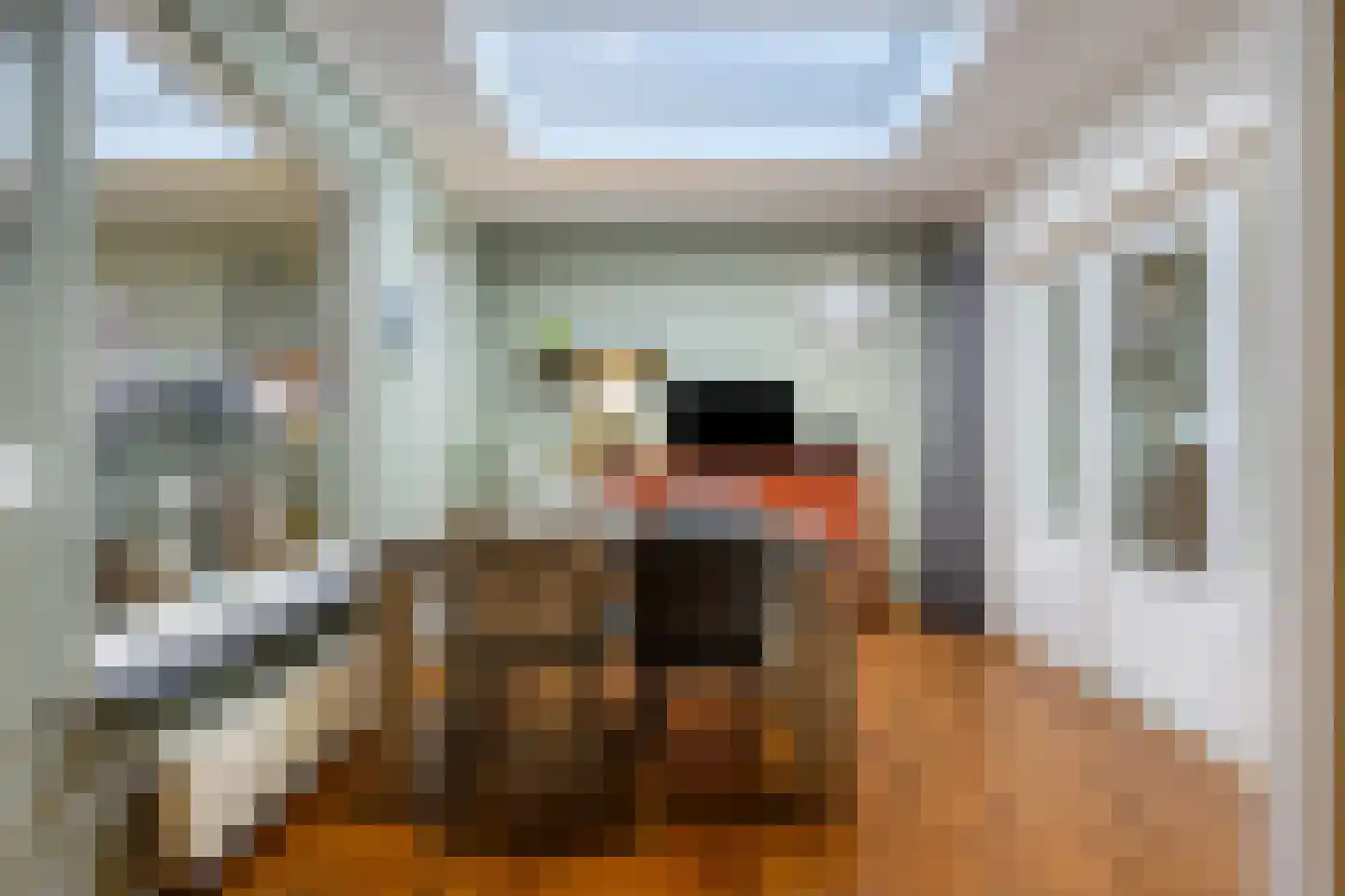 Alde-Biezenstraat 2 Gemert thumbnail 24
