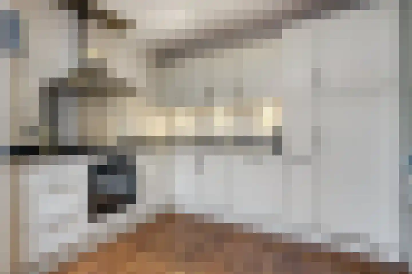 Alde-Biezenstraat 2 Gemert thumbnail 26