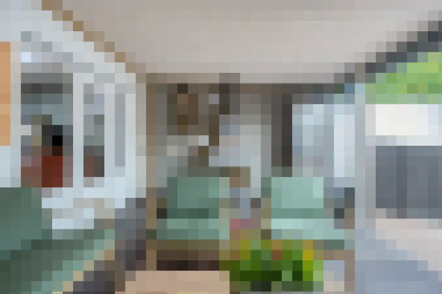 Alde-Biezenstraat 2 Gemert thumbnail 30