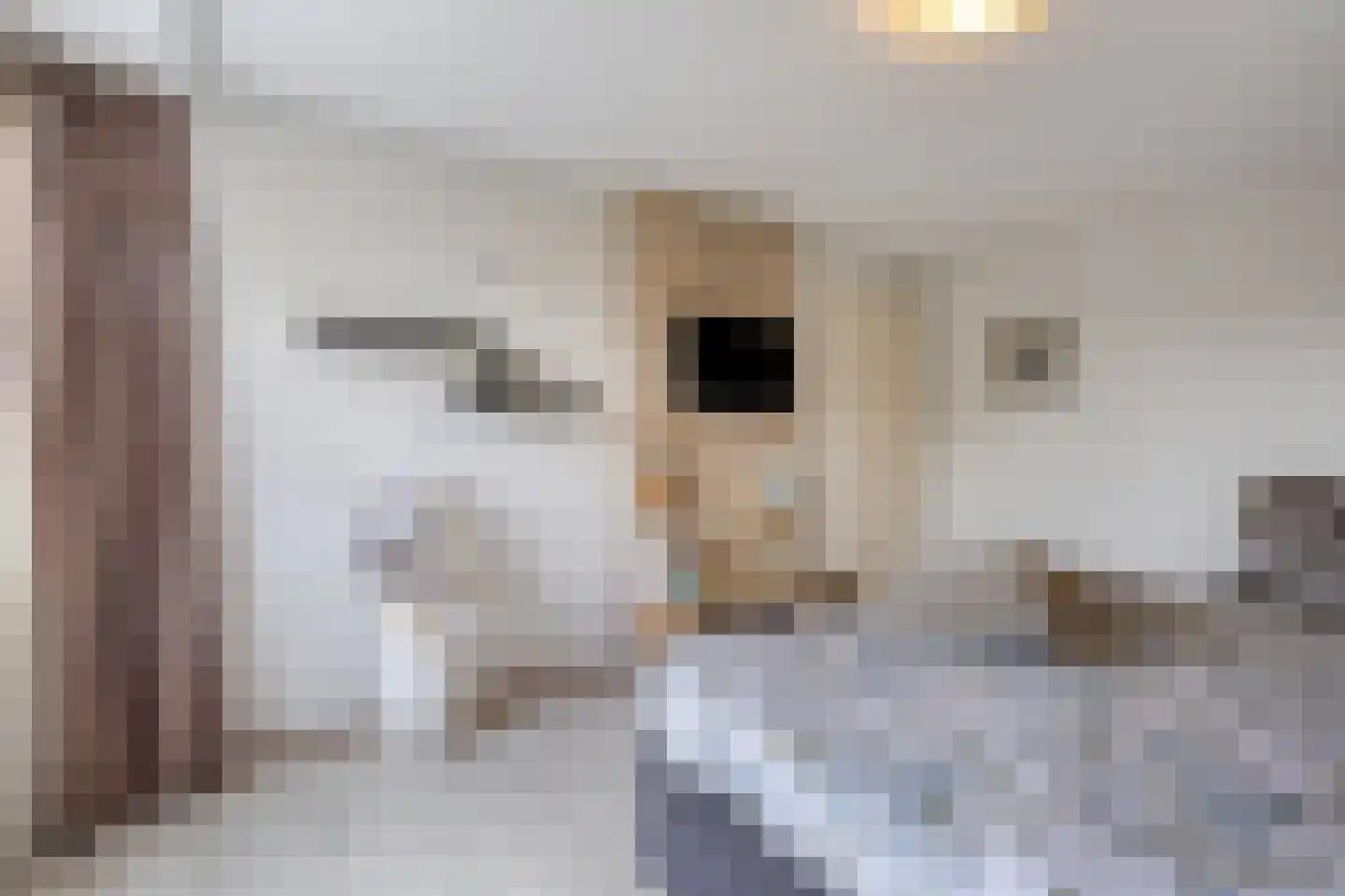 Alde-Biezenstraat 2 Gemert thumbnail 33