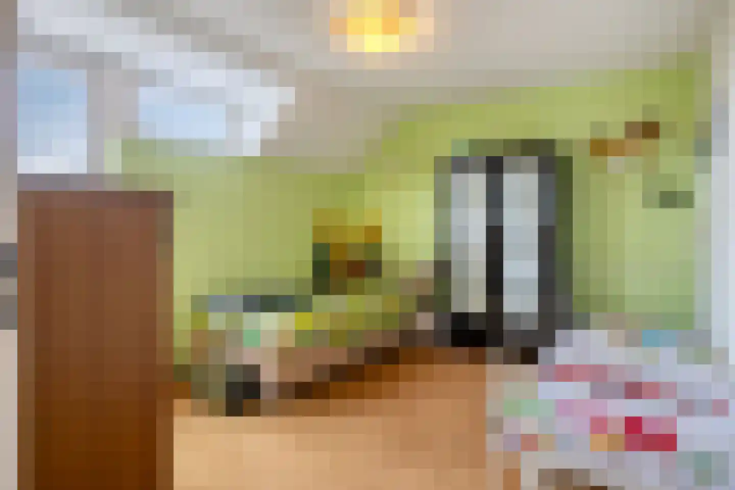 Alde-Biezenstraat 2 Gemert thumbnail 38