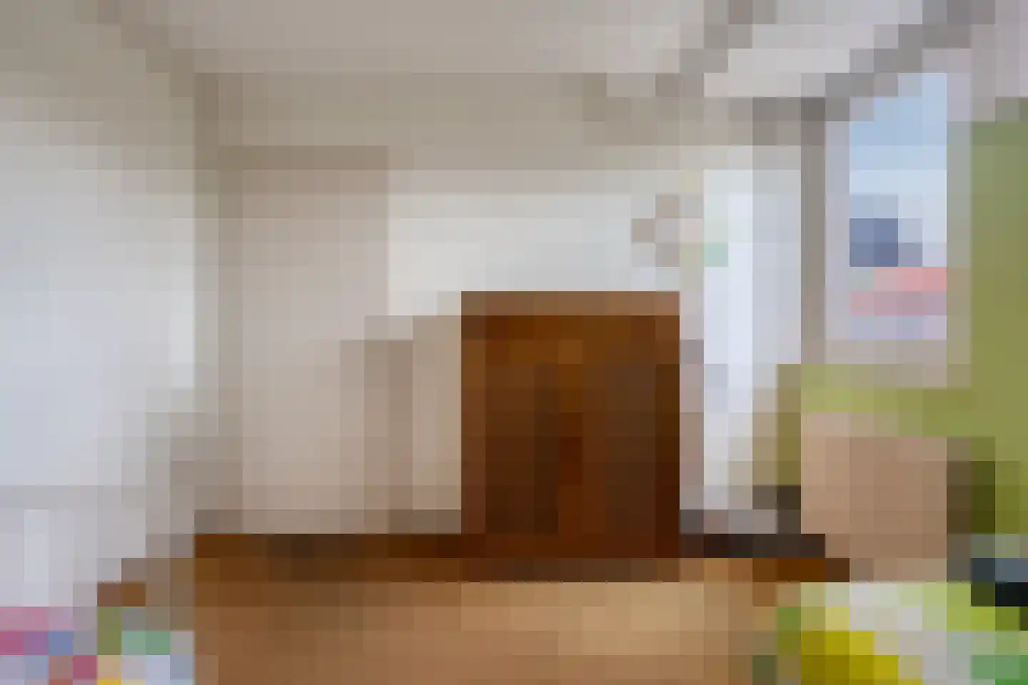 Alde-Biezenstraat 2 Gemert thumbnail 39