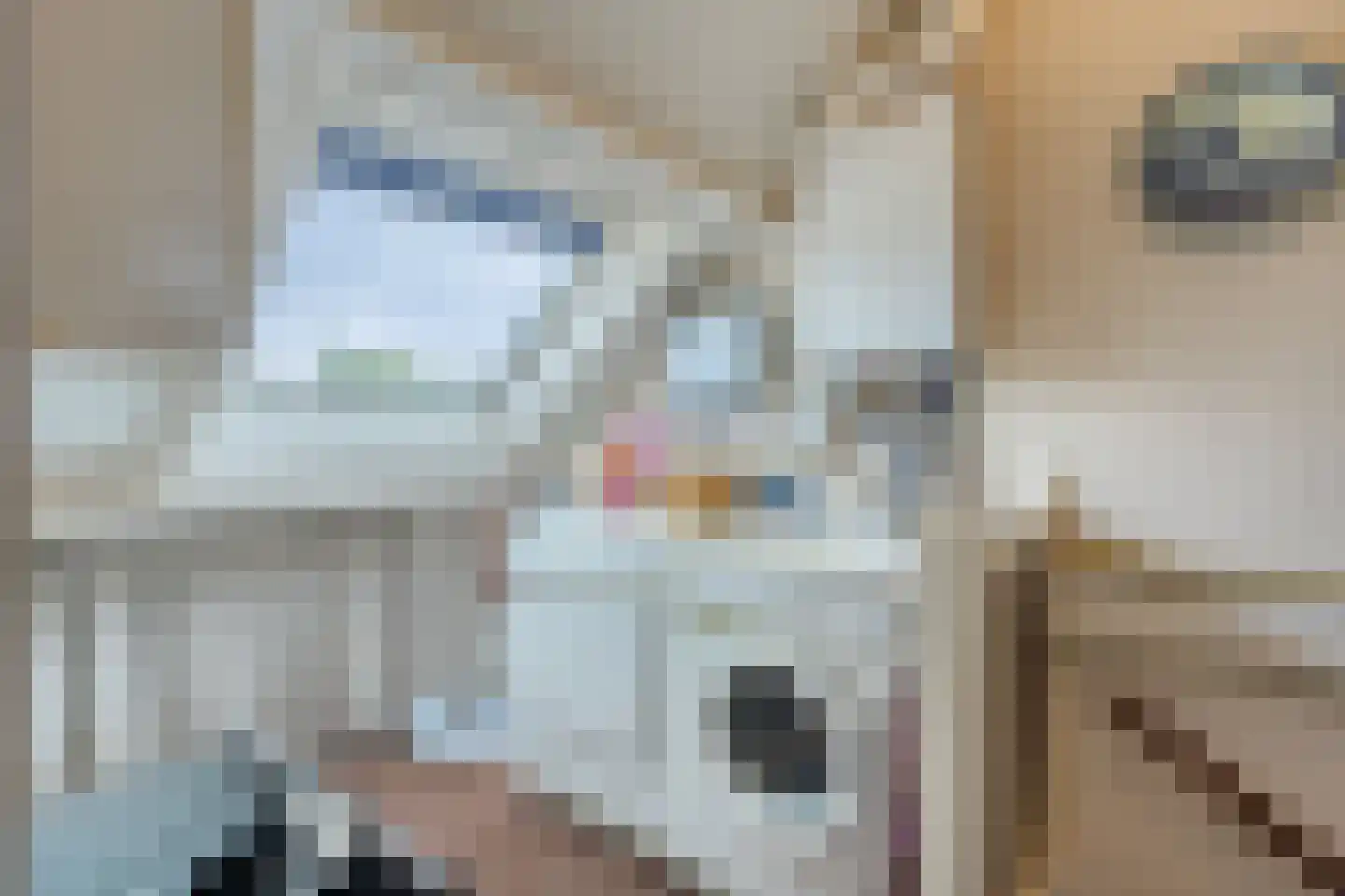 Alde-Biezenstraat 2 Gemert thumbnail 40