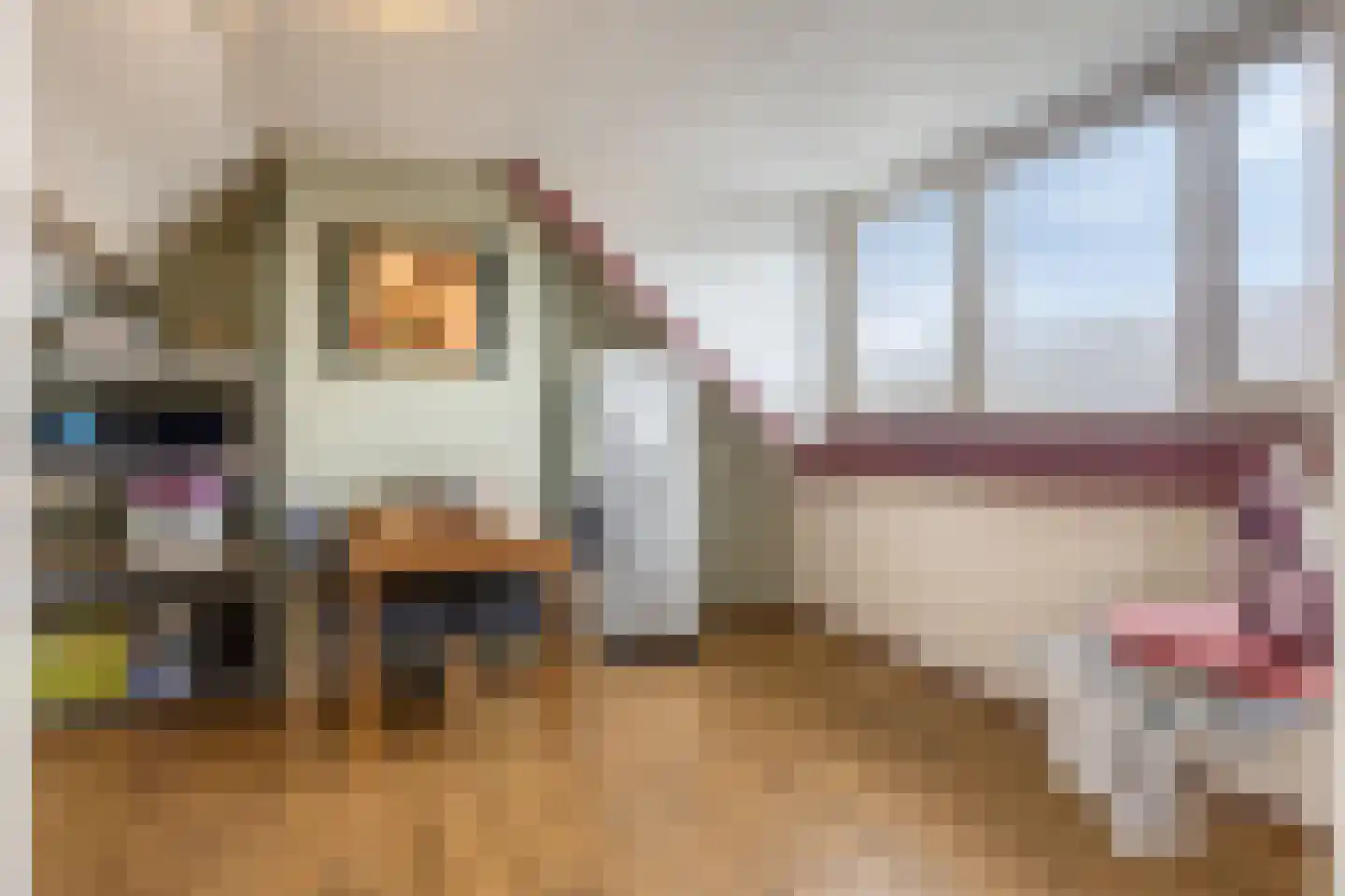 Alde-Biezenstraat 2 Gemert thumbnail 41