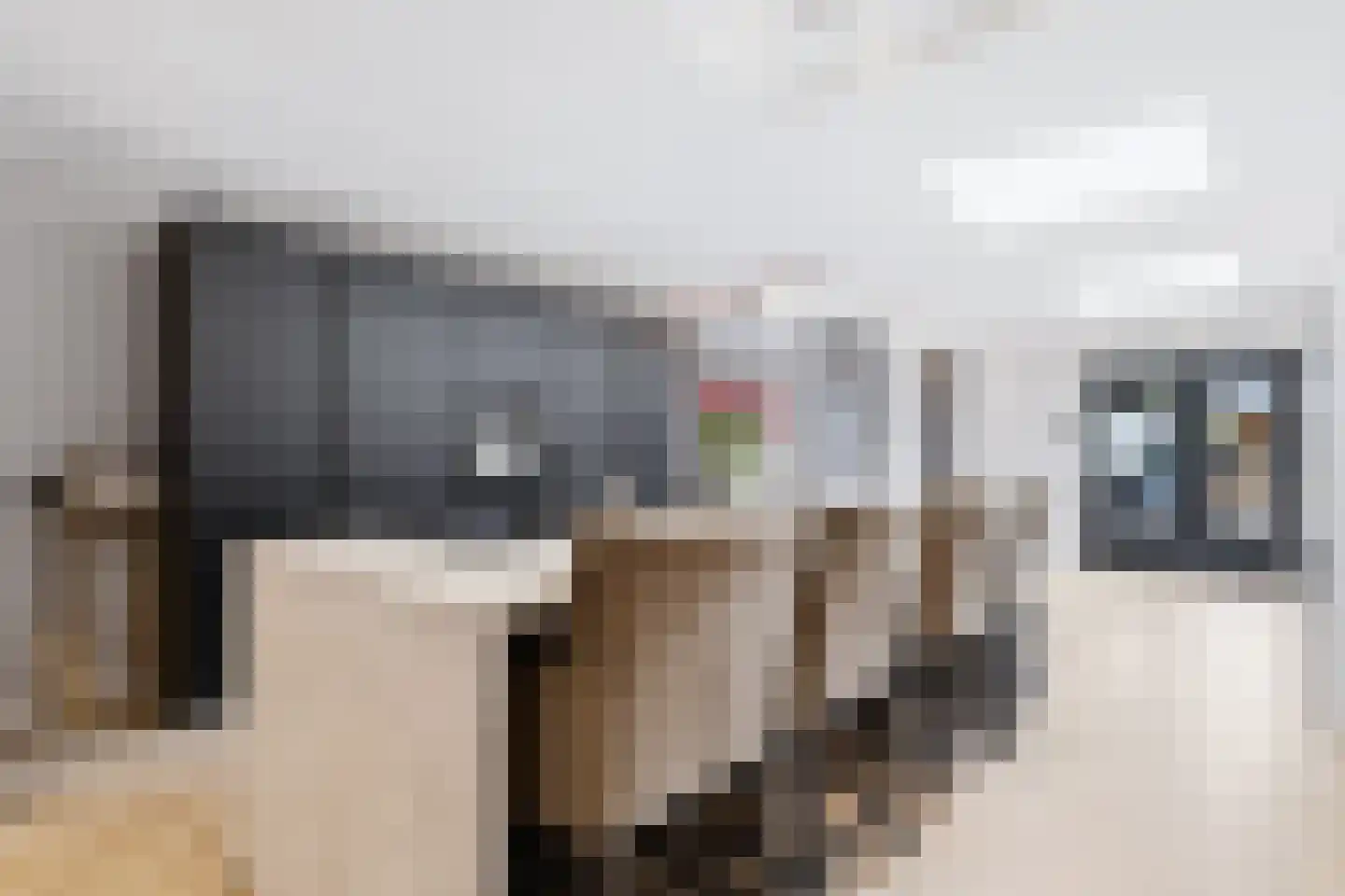 Alde-Biezenstraat 5 Gemert thumbnail 11
