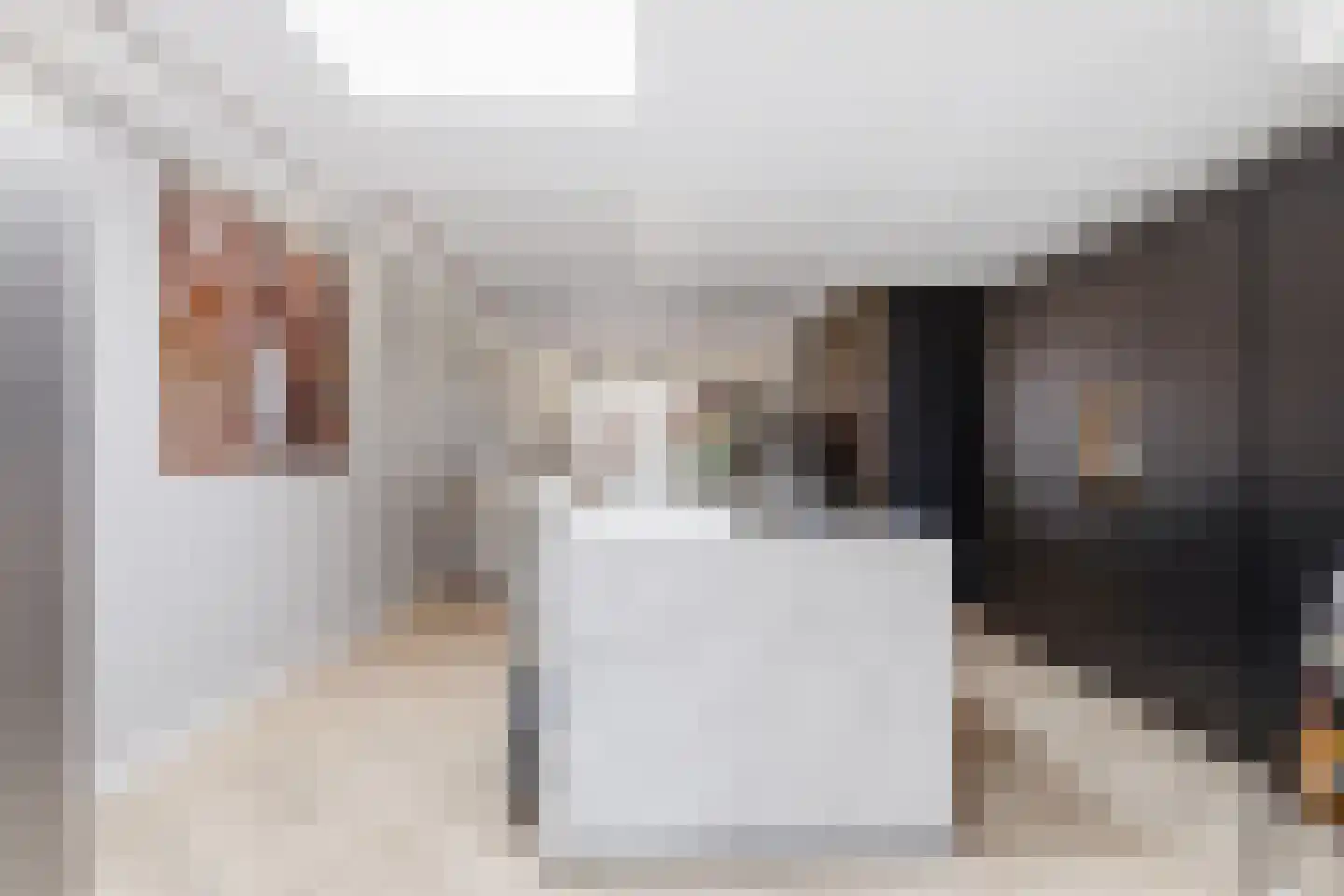 Alde-Biezenstraat 5 Gemert thumbnail 14