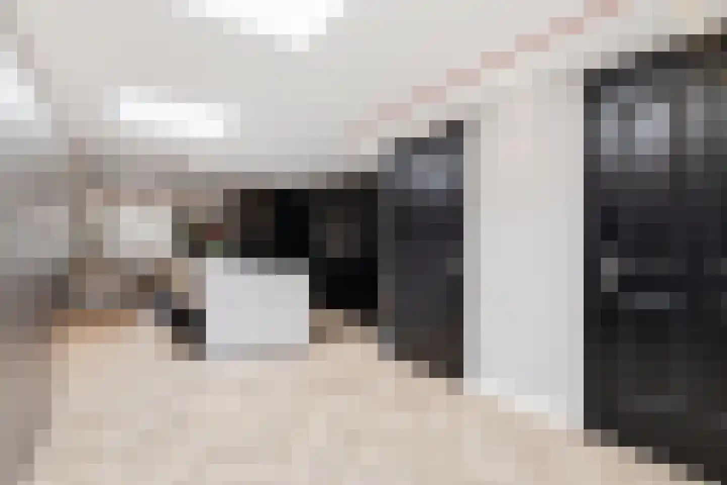 Alde-Biezenstraat 5 Gemert thumbnail 15