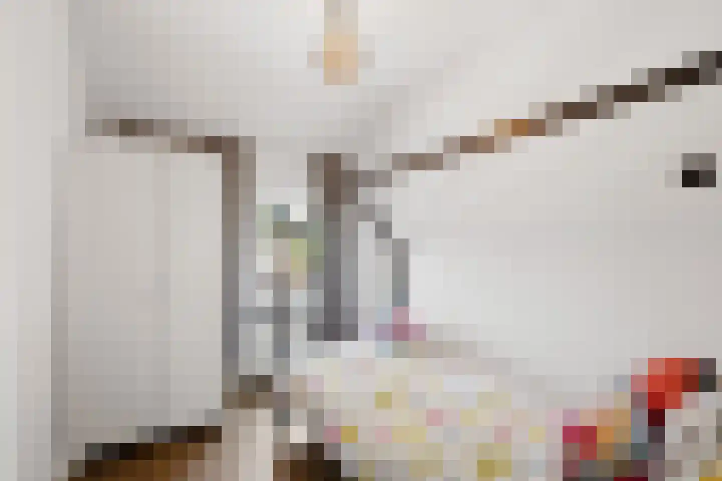 Alde-Biezenstraat 5 Gemert thumbnail 24