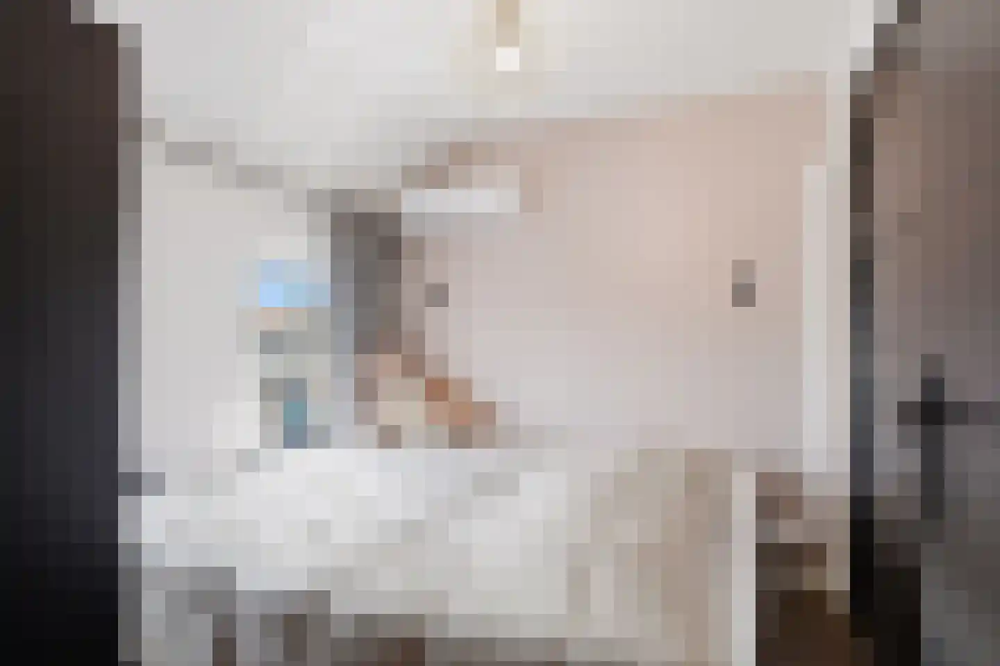 Alde-Biezenstraat 5 Gemert thumbnail 25