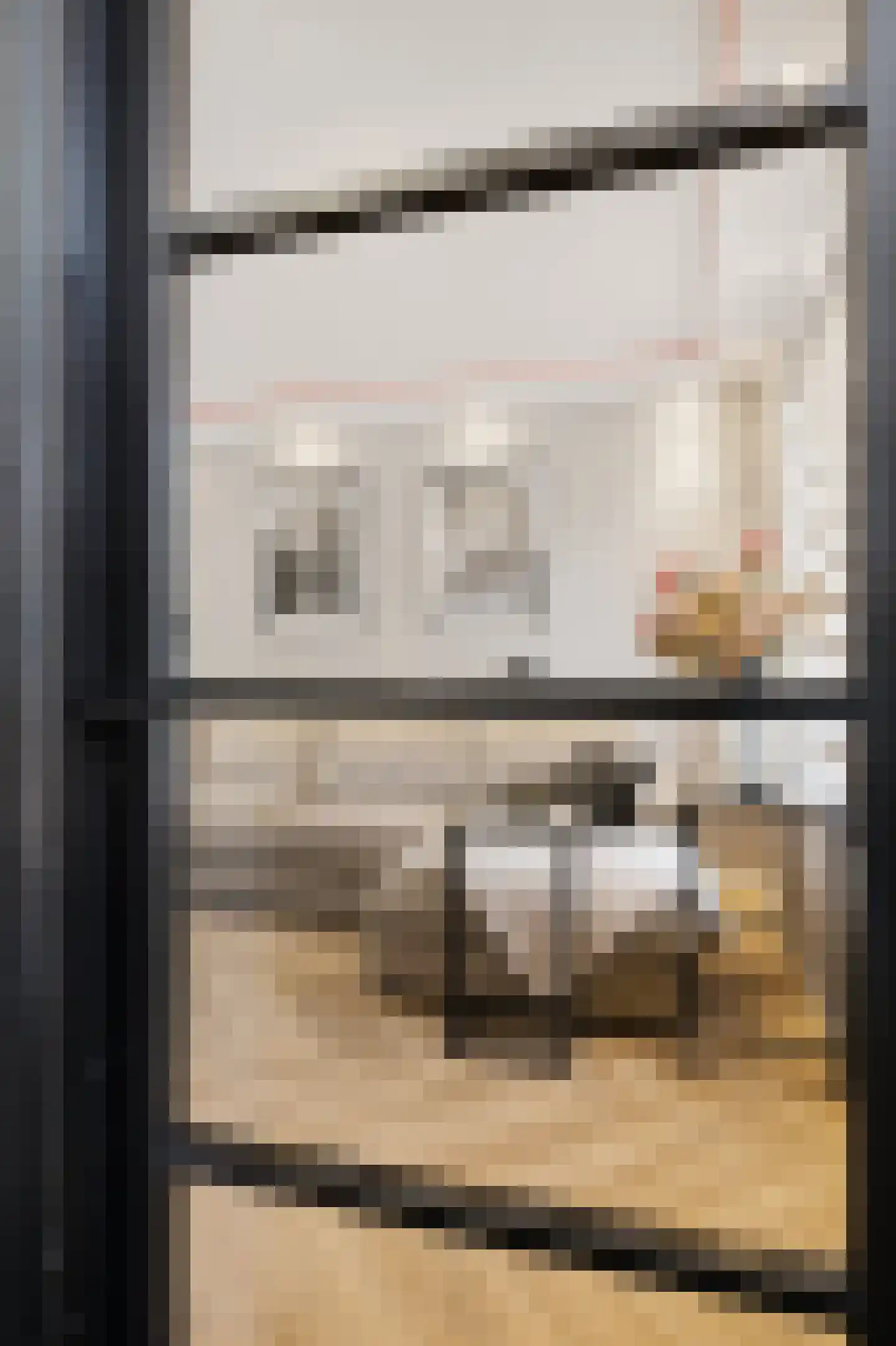 Alde-Biezenstraat 5 Gemert thumbnail 4