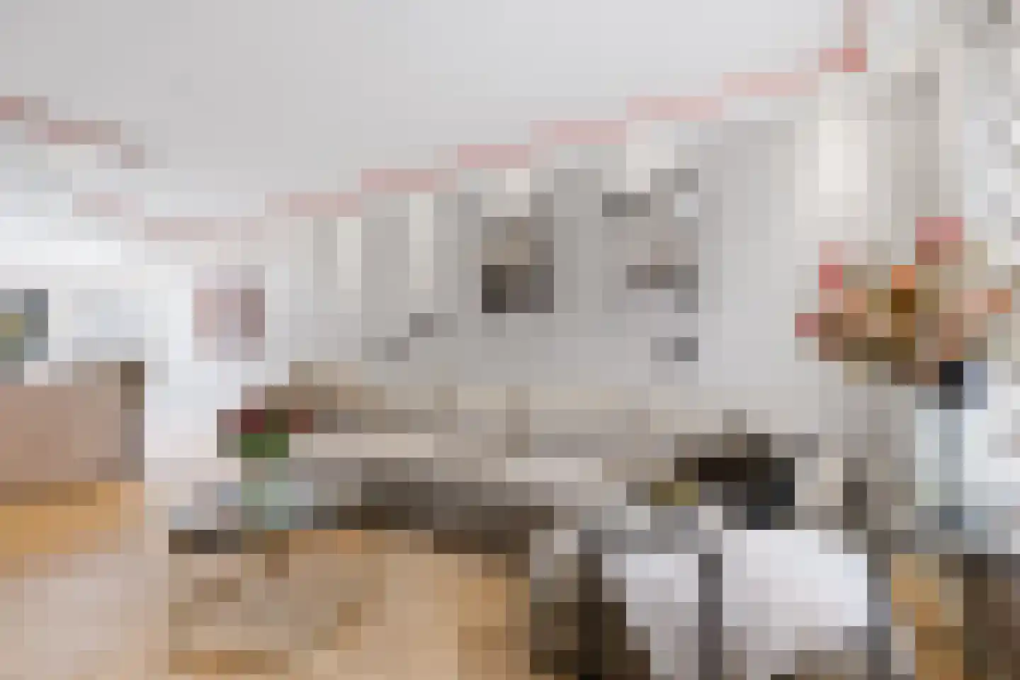 Alde-Biezenstraat 5 Gemert thumbnail 5