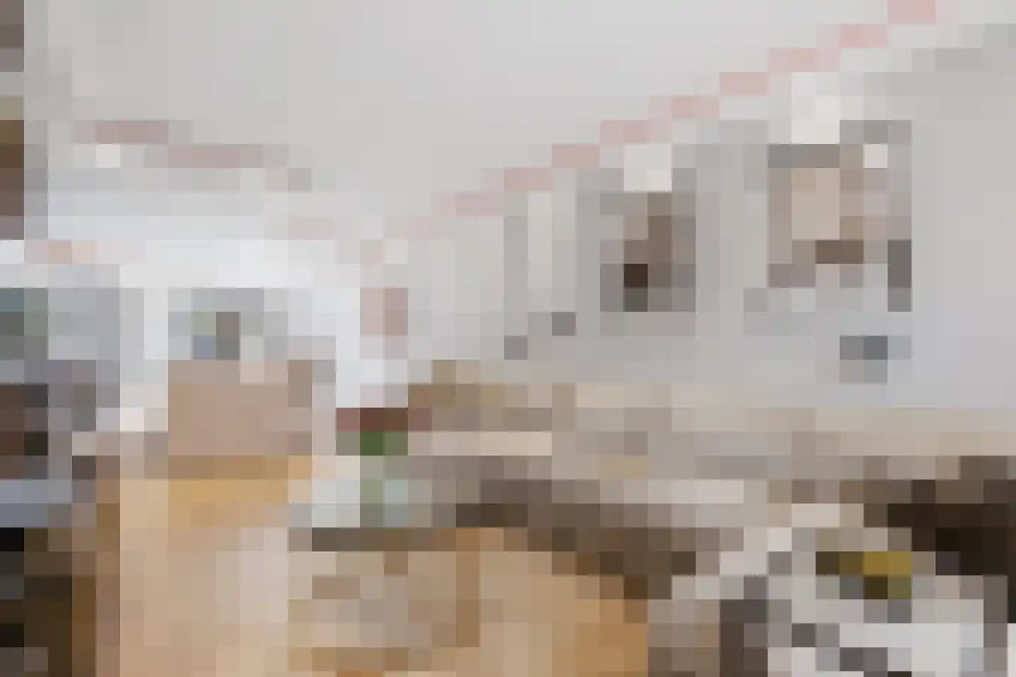 Alde-Biezenstraat 5 Gemert thumbnail 6