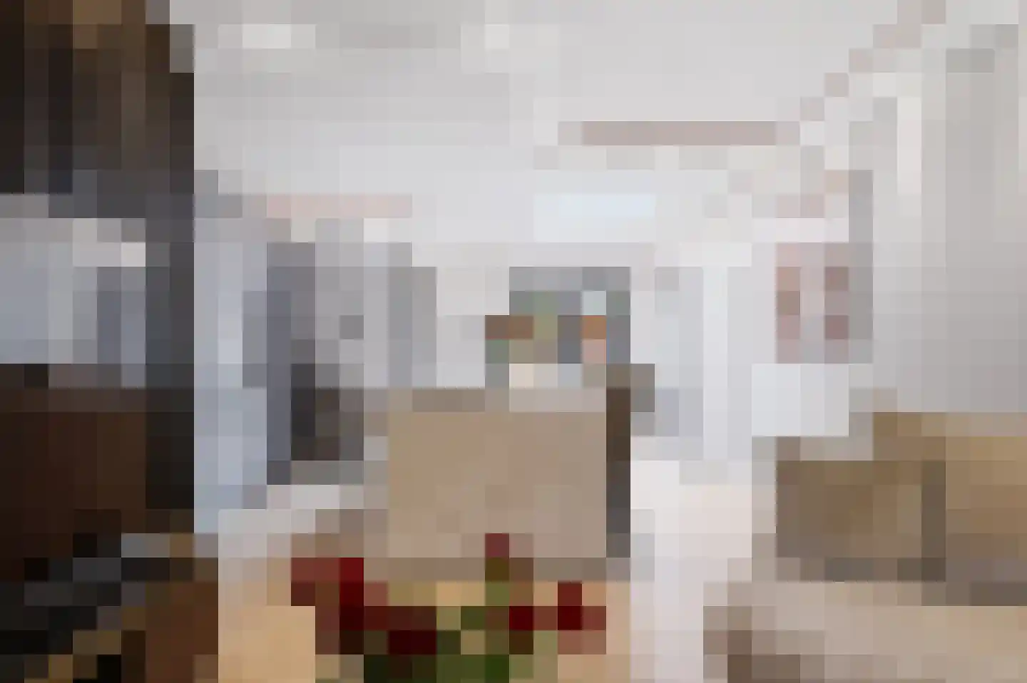 Alde-Biezenstraat 5 Gemert thumbnail 8