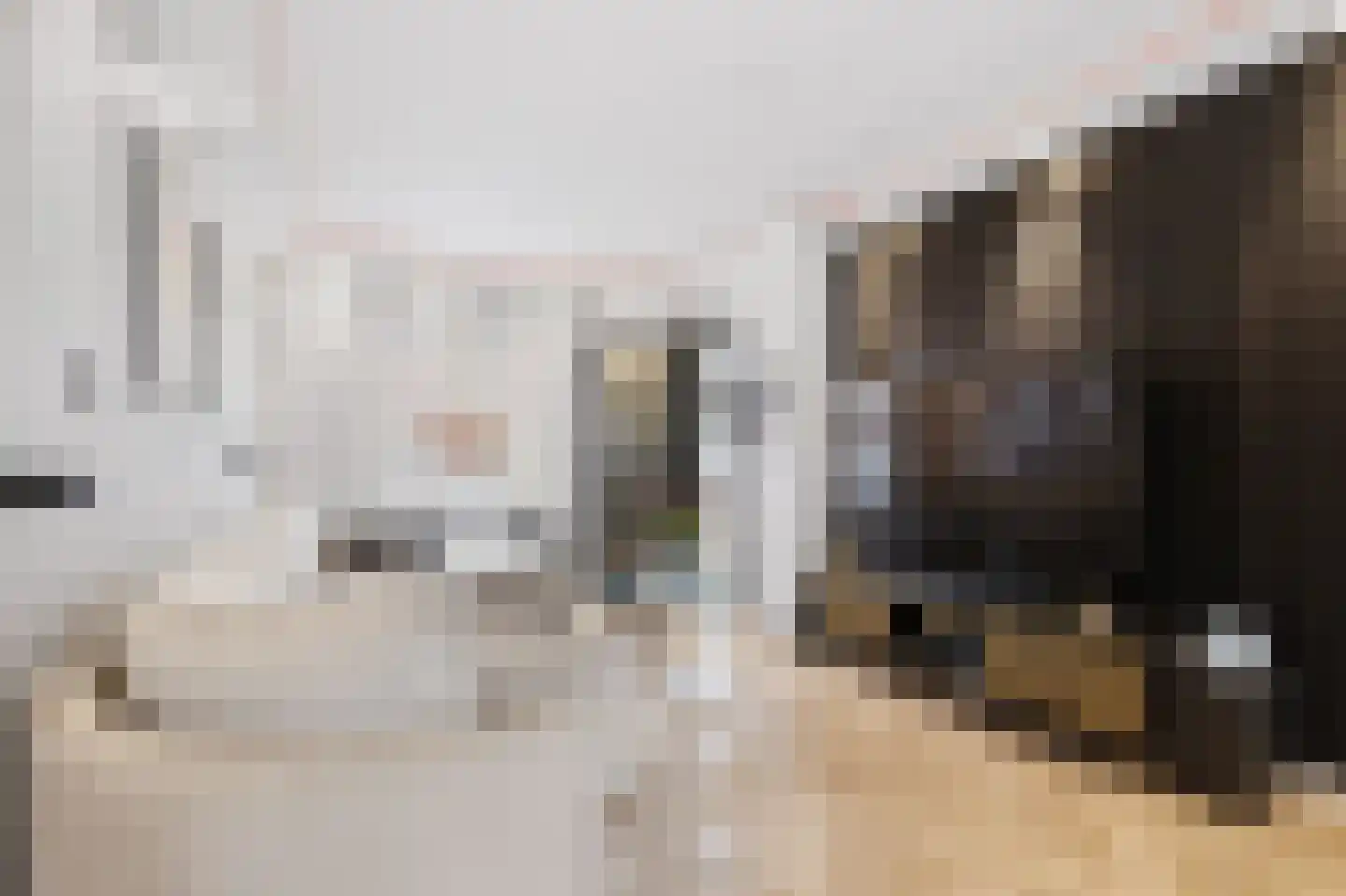 Alde-Biezenstraat 5 Gemert thumbnail 9