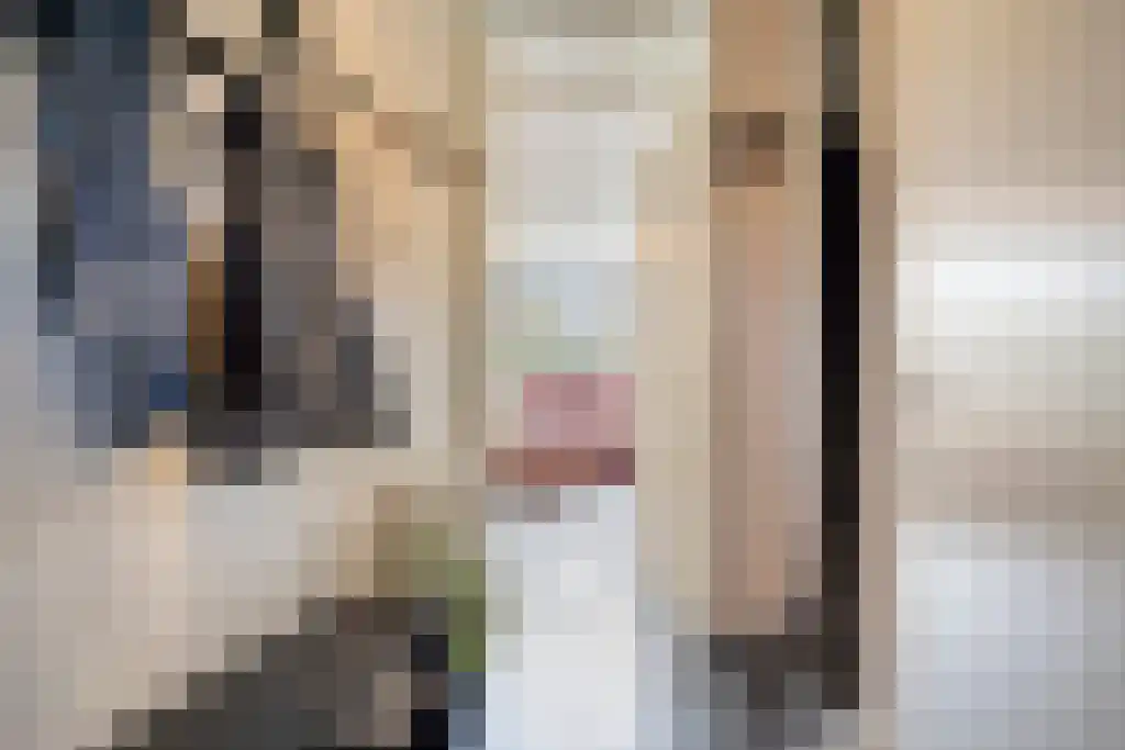 Alde-Biezenstraat 7 c Gemert thumbnail 12