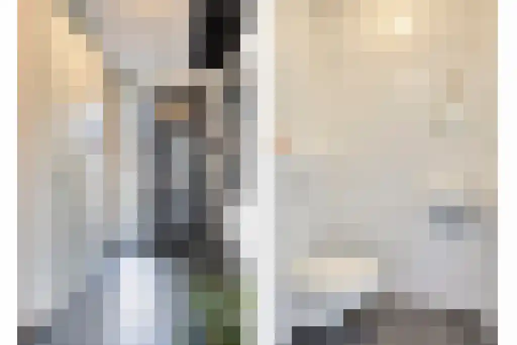 Alde-Biezenstraat 7 c Gemert thumbnail 13