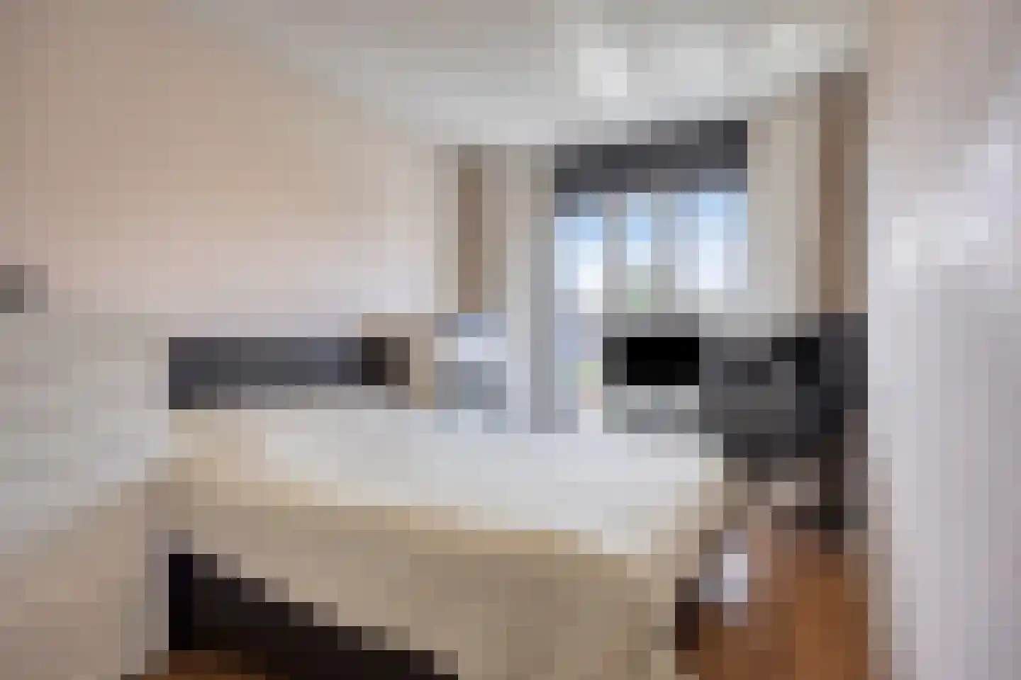 Alde-Biezenstraat 7 c Gemert thumbnail 17
