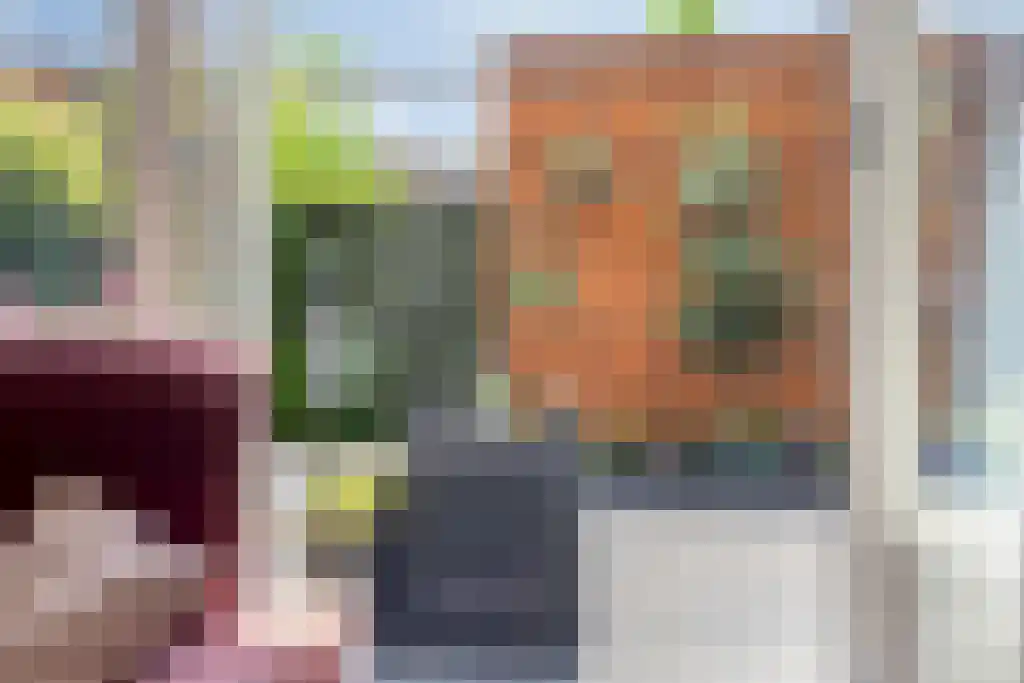 Alde-Biezenstraat 7 c Gemert thumbnail 25