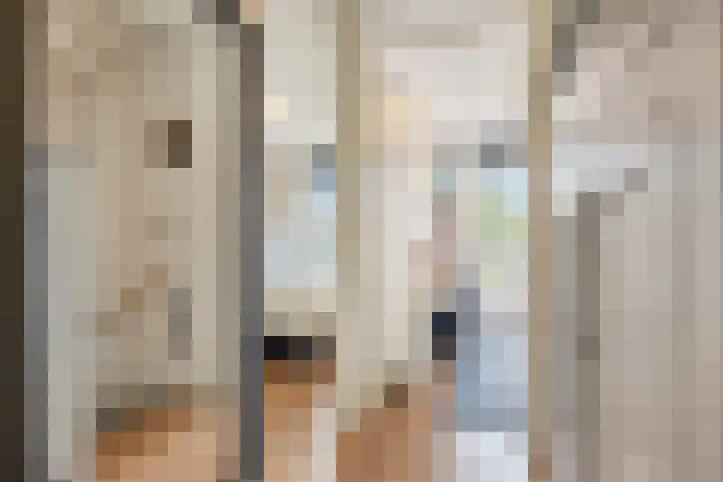 Alde-Biezenstraat 7 c Gemert thumbnail 26