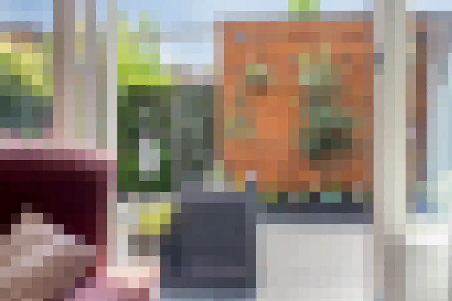 Alde-Biezenstraat 7 c Gemert thumbnail 27