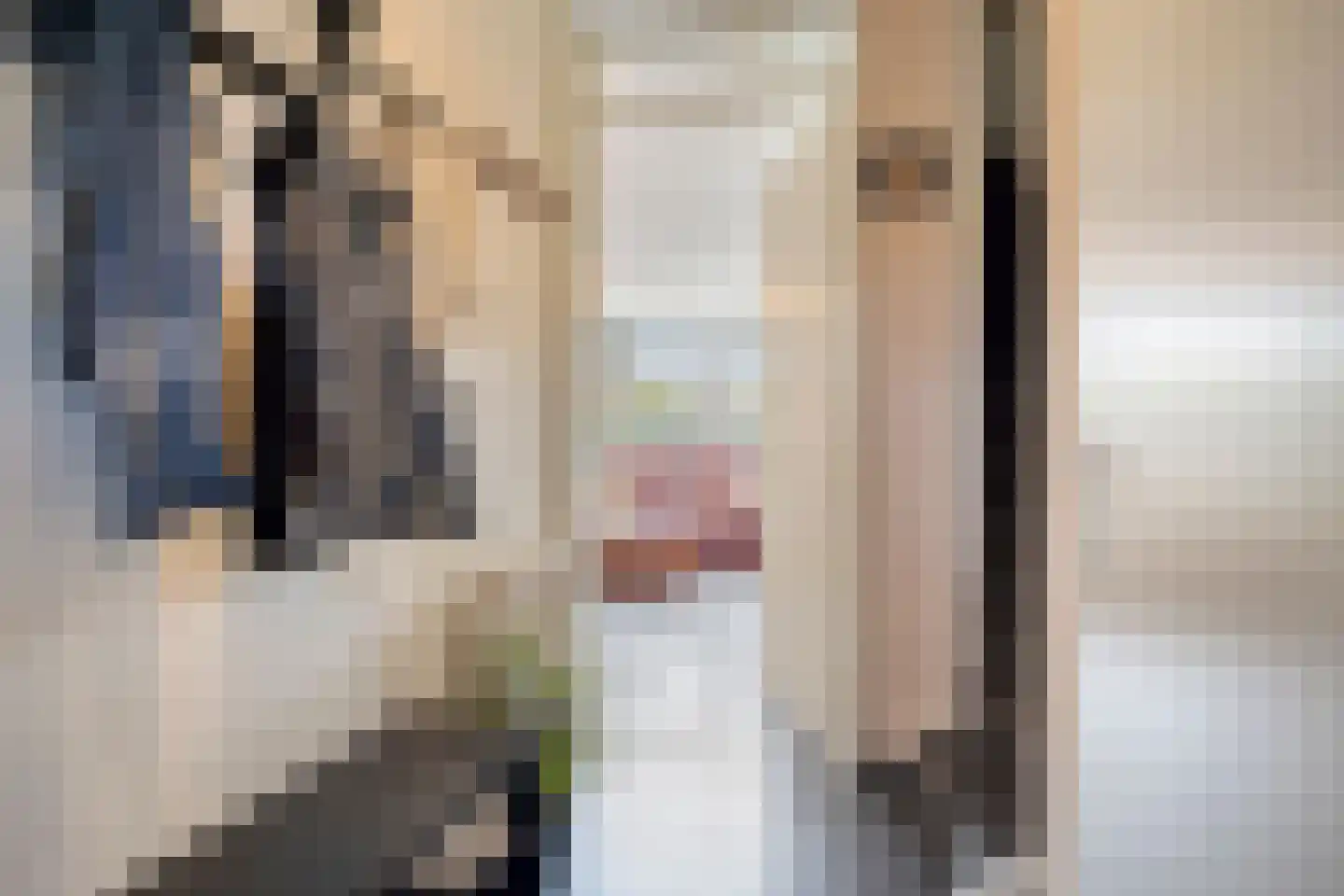 Alde-Biezenstraat 7 c Gemert thumbnail 5
