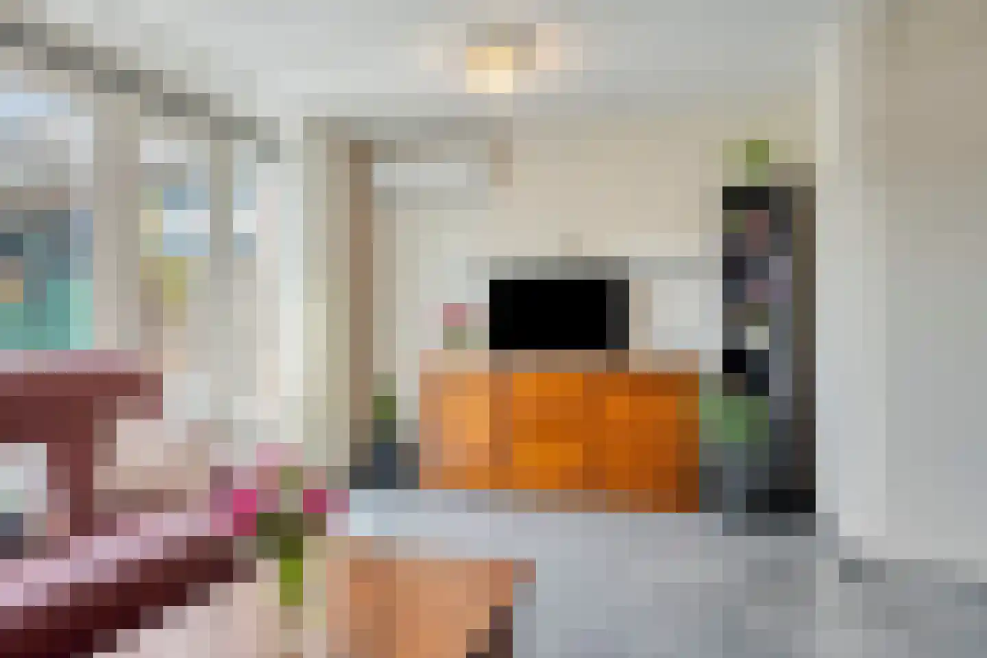 Alde-Biezenstraat 7 c Gemert thumbnail 9