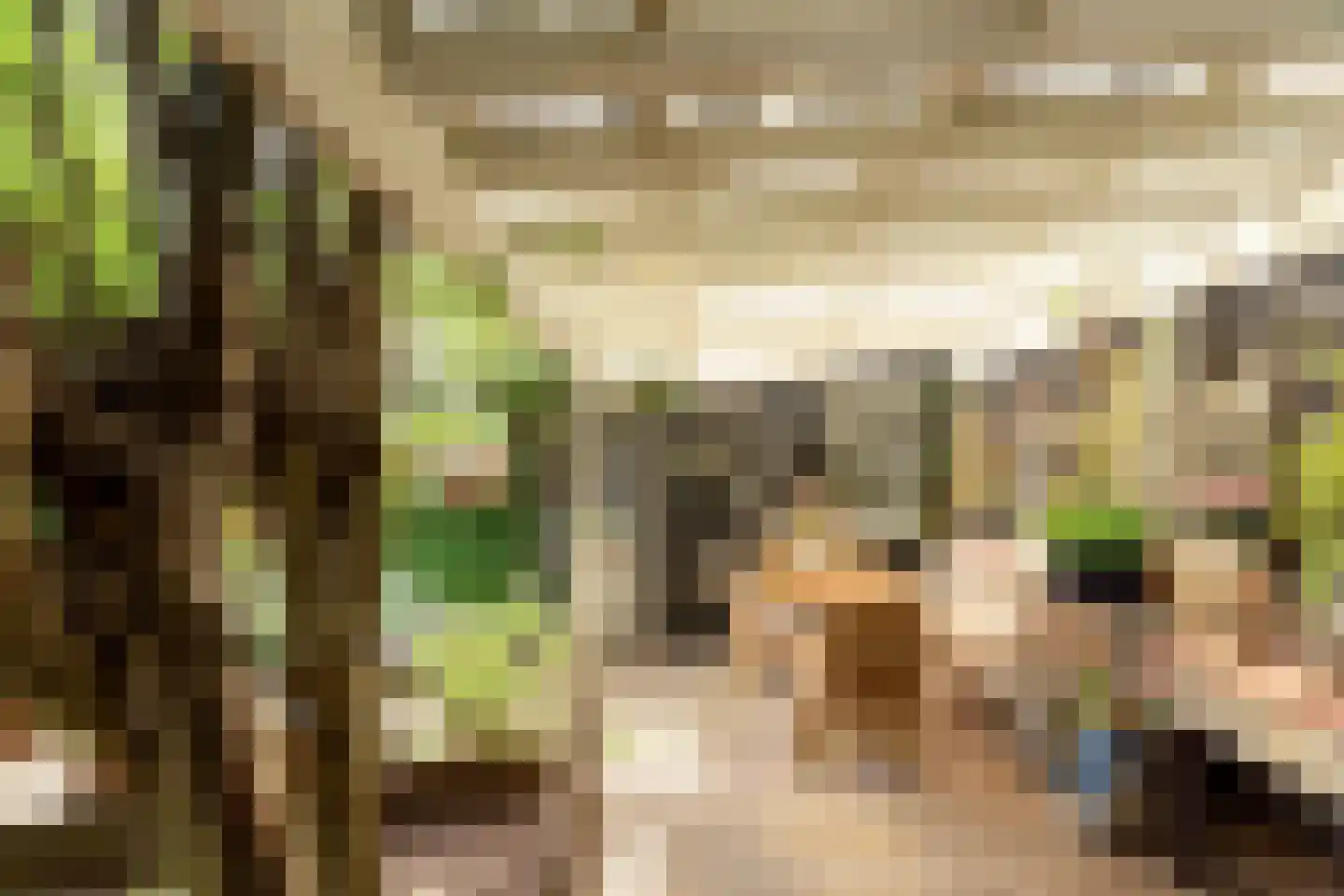 Alde Buorren 12 Sexbierum thumbnail 13