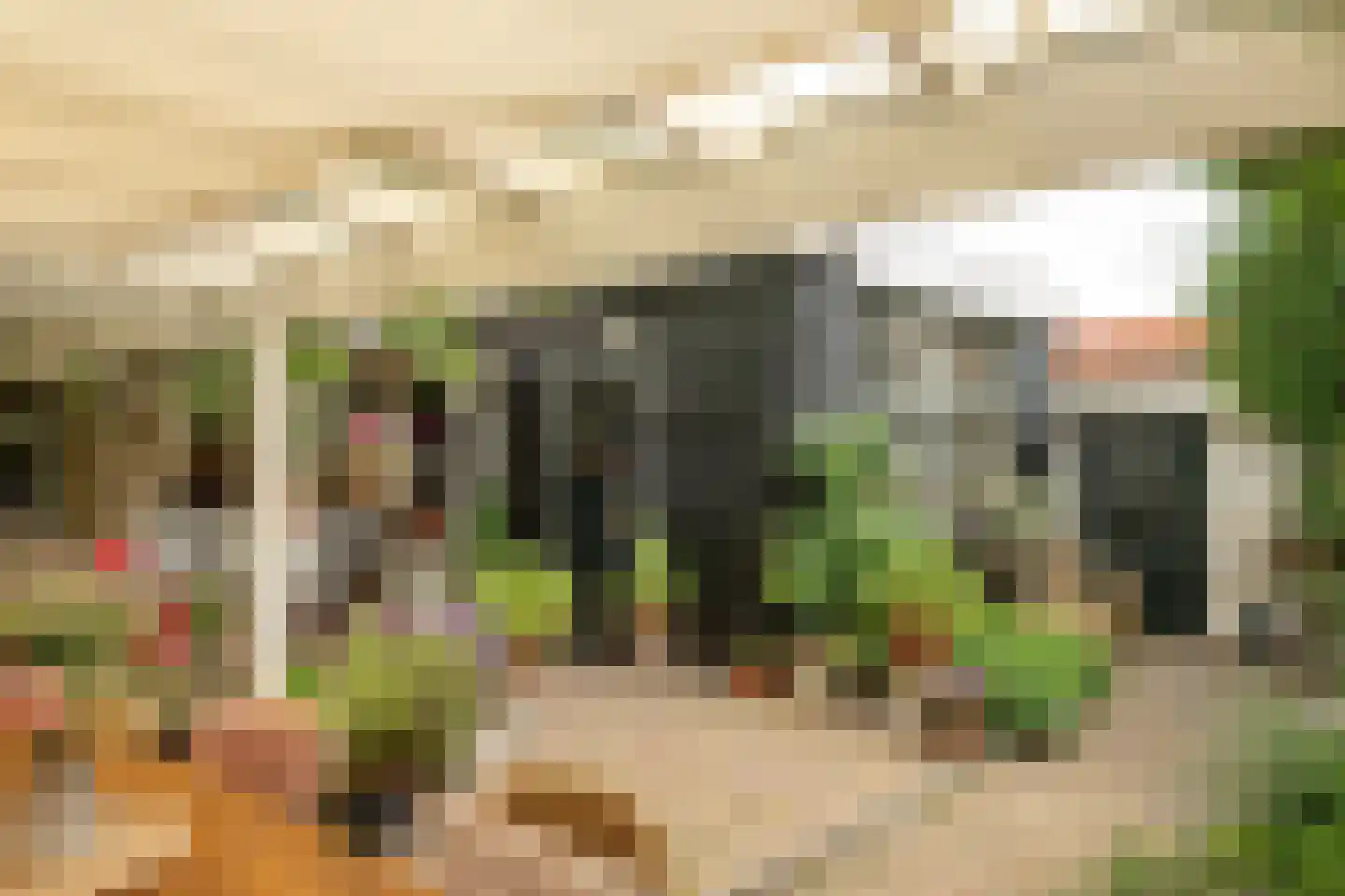Alde Buorren 12 Sexbierum thumbnail 14